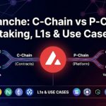 Avalanche (AVAX) network concept showing C-Chain, P-Chain and staking connections