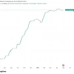 2026 Shocking Warning: The Bitcoin Rally Shows Signs of 20% Fatigue at $80,000 with a Critical and Terrifying Crash Ahead