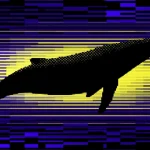 Cardano Whales Now Hold 67 Percent of ADA Supply in Shocking Massive Bullish Sentiment Since 2020 with a Critical 25.09 Billion Tokens